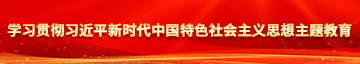 操BbW学习贯彻习近平新时代中国特色社会主义思想主题教育